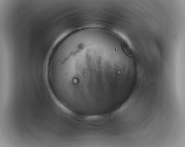 X0000114231135200910091443