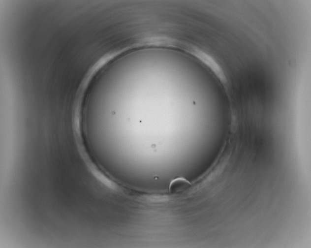 X0000114231136200910091443