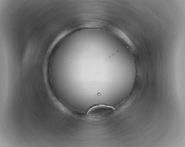 X0000114231138200910091443