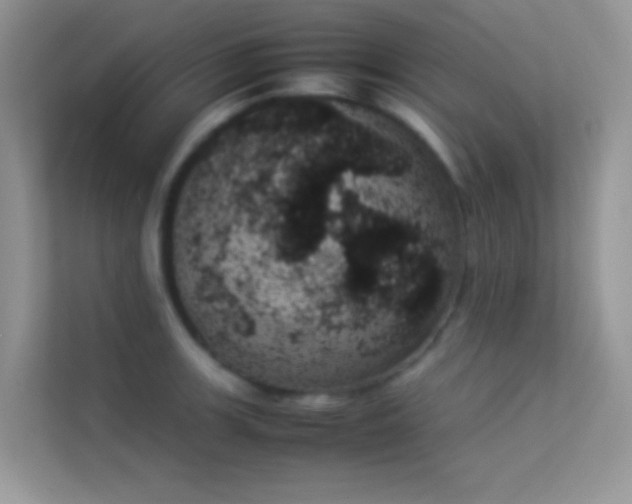 X0000114231139200910091443