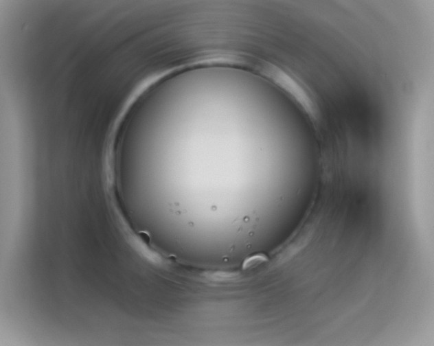 X0000114231140200910091443