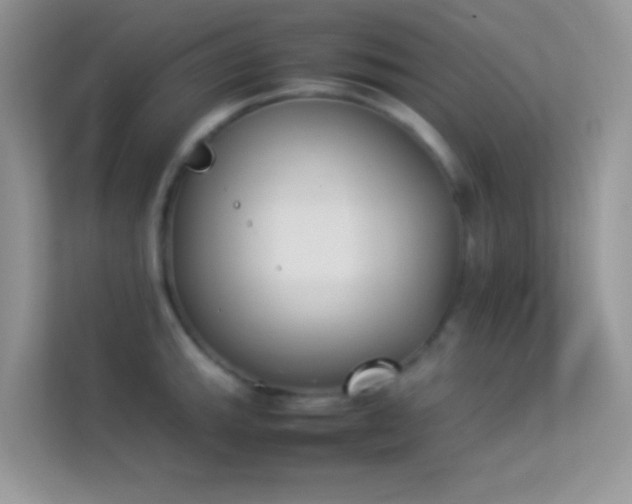 X0000114231143200910091443