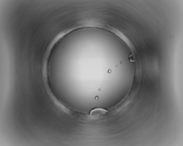 X0000114231144200910091443
