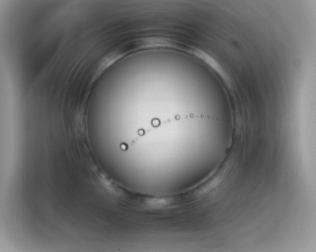 X0000114231145200910091443