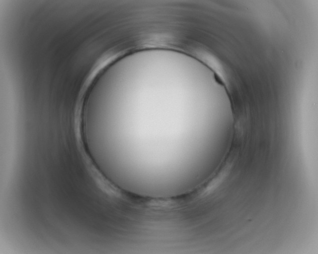 X0000114231146200910091443