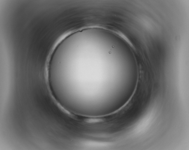 X0000114231151200910091443
