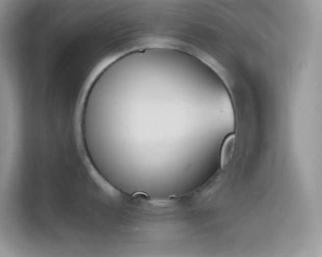 X0000114231152200910091443