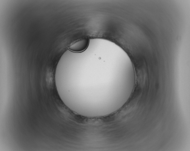 X0000114231154200910091443