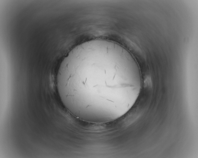 X0000114231156200910091443
