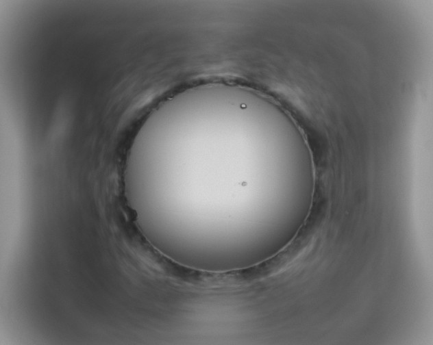 X0000114231159200910091442
