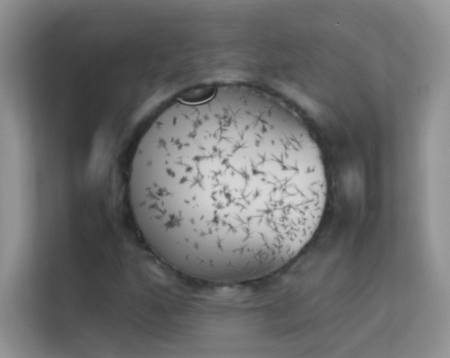 X0000114231160200910091442