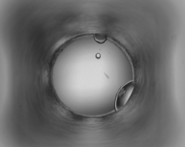 X0000114231163200910091442