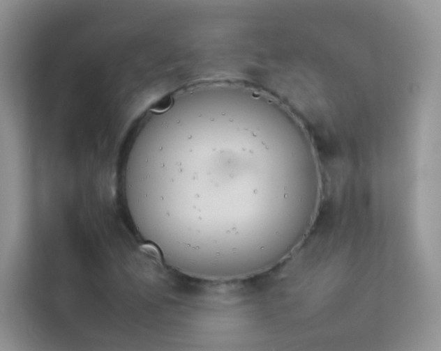 X0000114231165200910091442