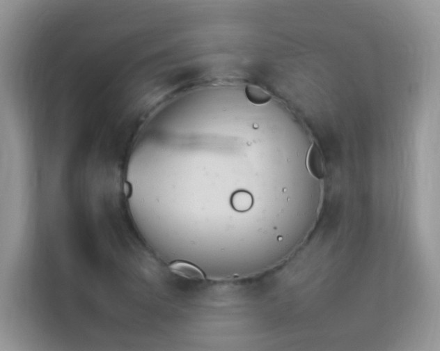 X0000114231169200910091442