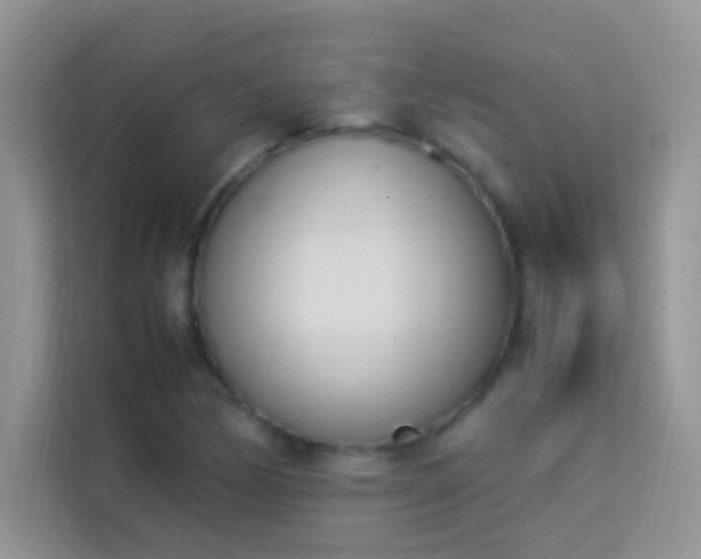X0000114231170200910091442