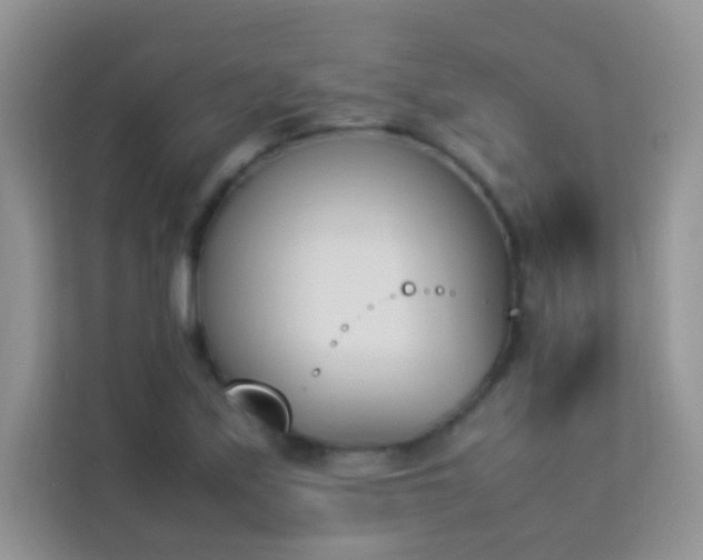 X0000114231171200910091442