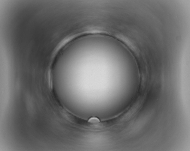 X0000114231175200910091442
