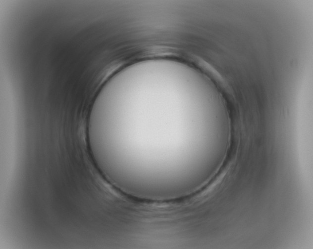 X0000114231177200910091442