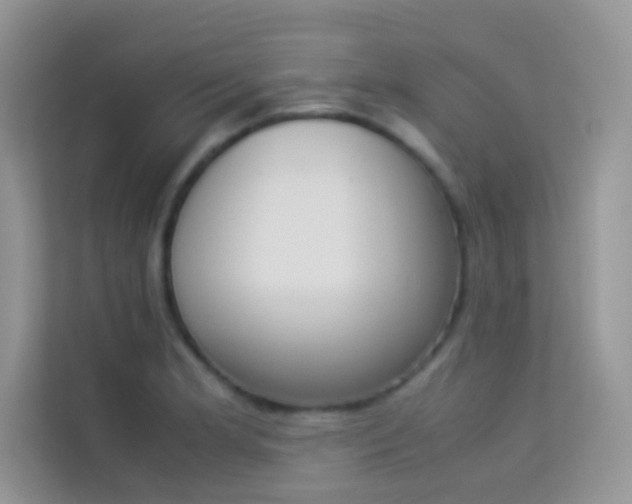 X0000114231181200910091442
