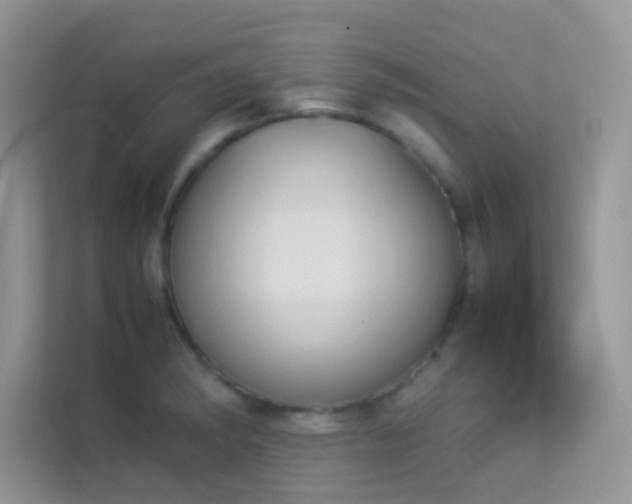 X0000114231182200910091442