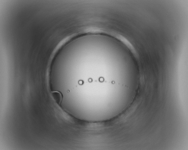 X0000114231183200910091442