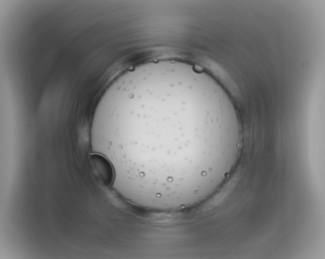 X0000114231185200910091442