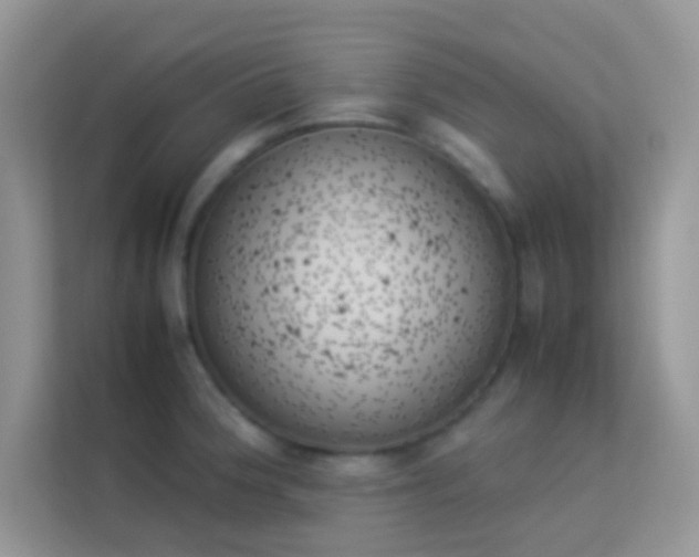 X0000114231188200910091442