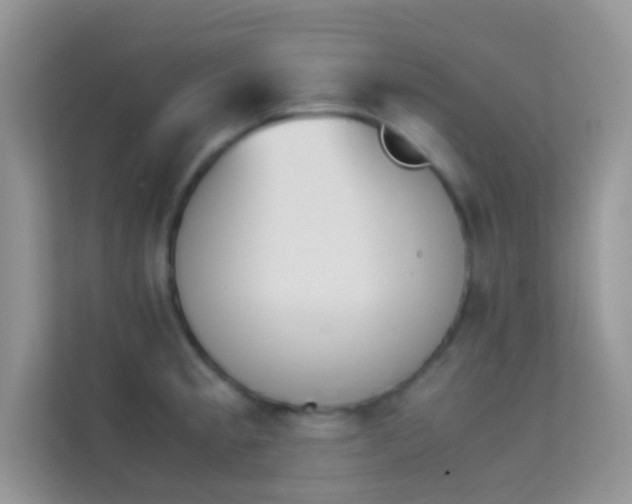 X0000114231189200910091442