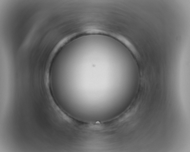X0000114231191200910091442