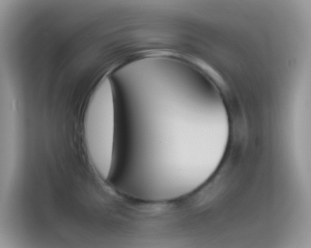 X0000114231193200910091442