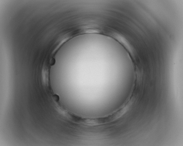 X0000114231194200910091442