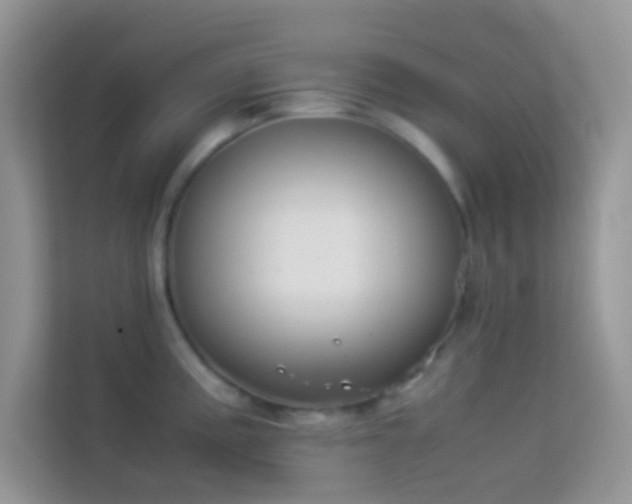 X0000114231195200910091442