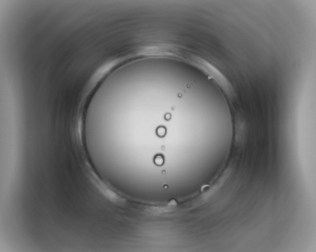 X0000114231196200910091442