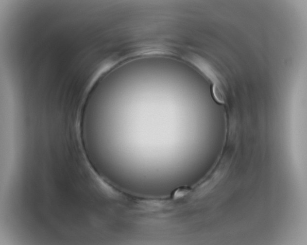 X0000114231197200910091442