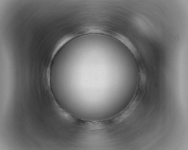 X0000114231198200910091442