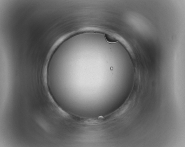 X0000114231199200910091442