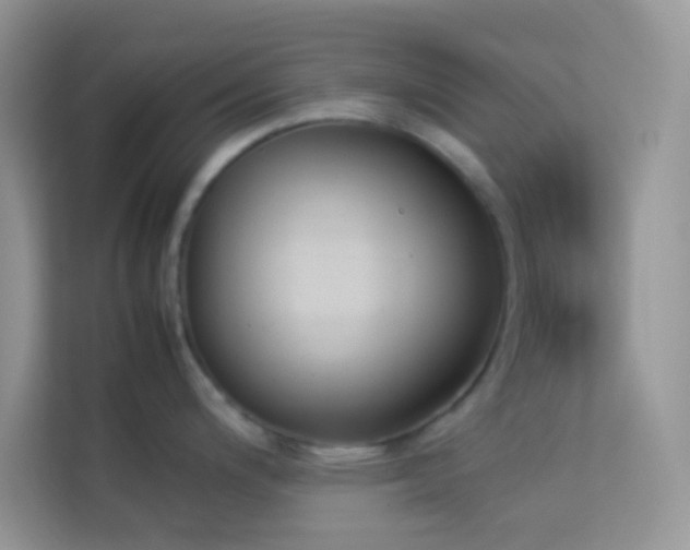 X0000114231200200910091442