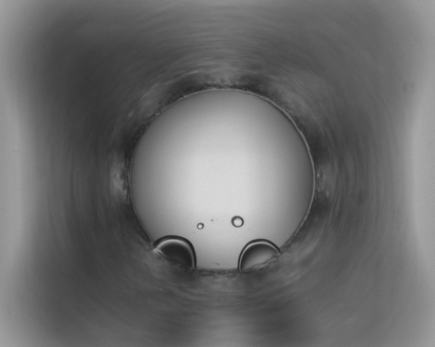 X0000114231202200910091441