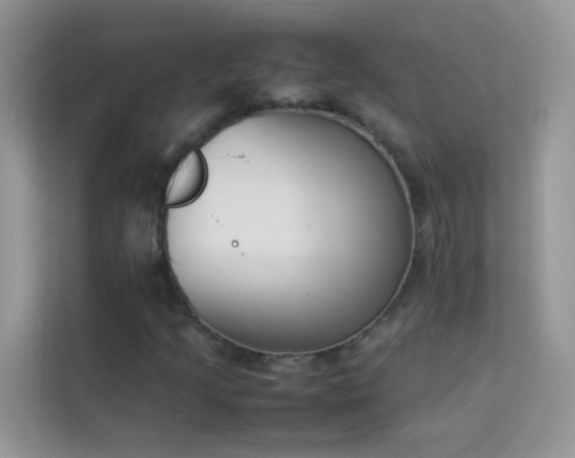 X0000114231205200910091441