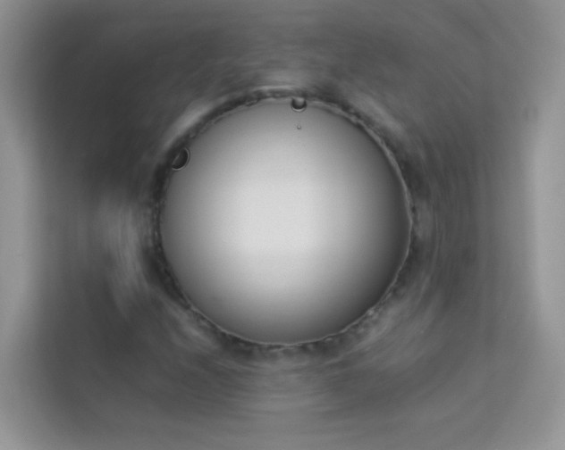 X0000114231208200910091441