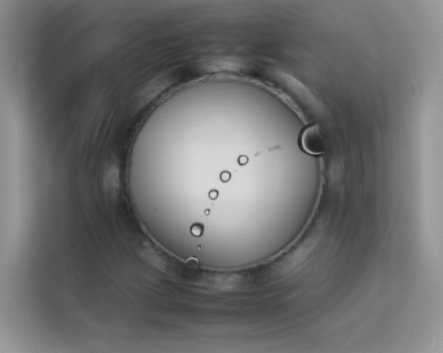 X0000114231209200910091441