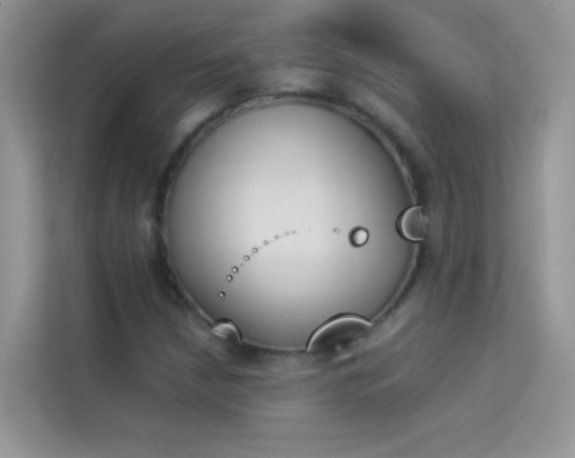 X0000114231210200910091441