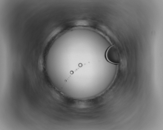 X0000114231213200910091441