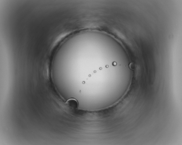 X0000114231214200910091441