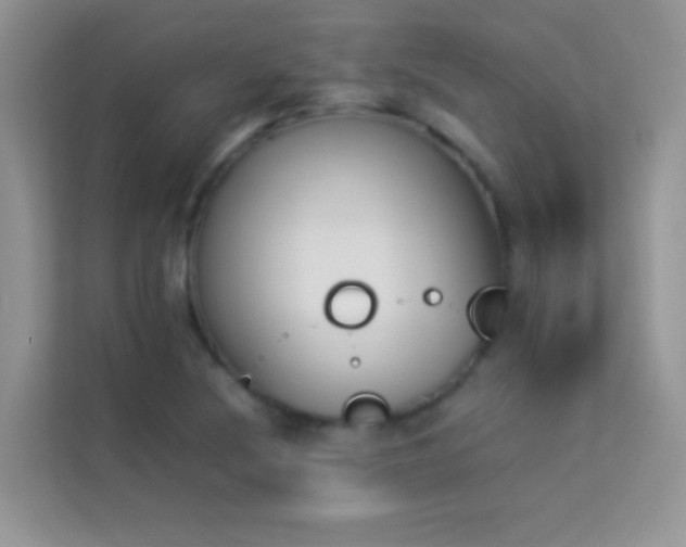 X0000114231220200910091442
