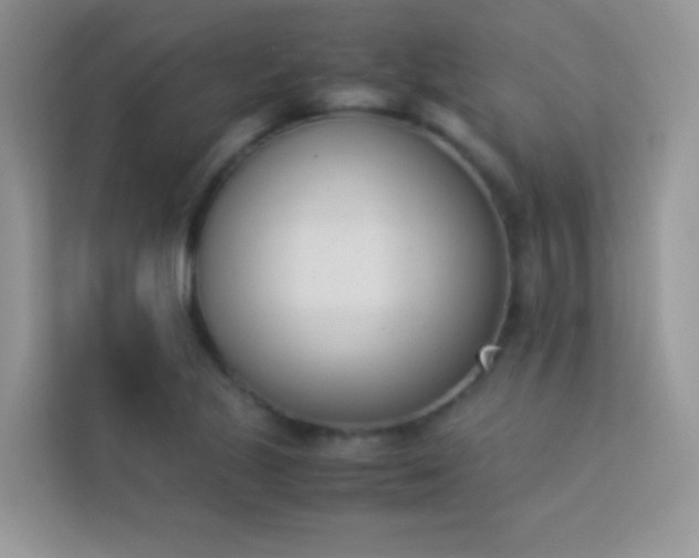 X0000114231221200910091442