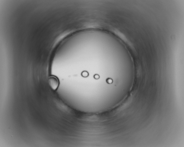 X0000114231222200910091442