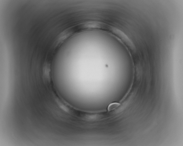 X0000114231225200910091442