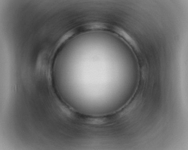 X0000114231229200910091442