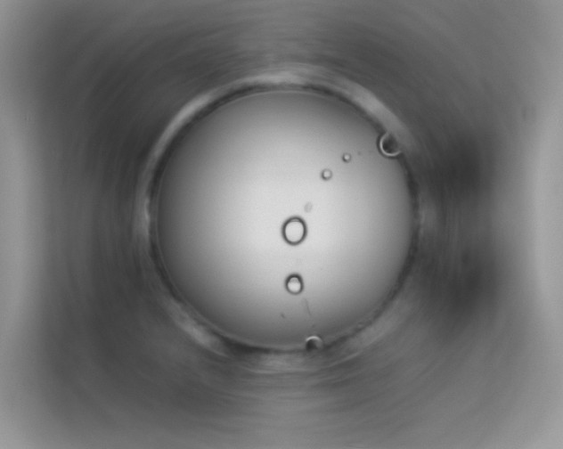 X0000114231232200910091442